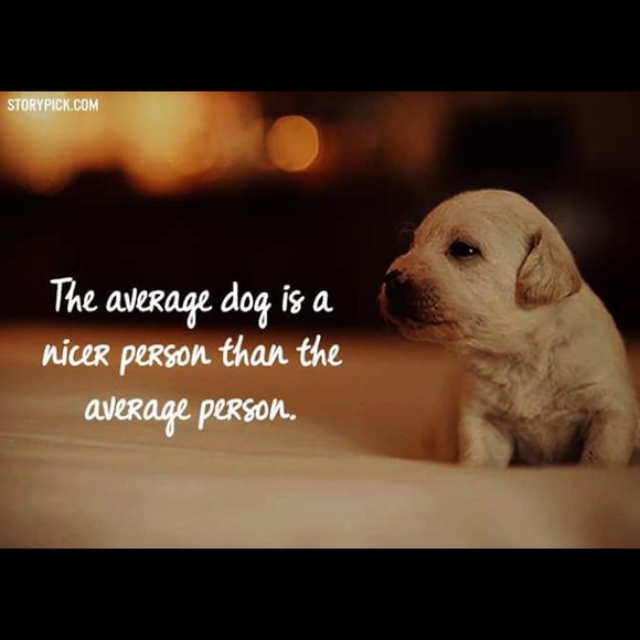 Meet your Posher, Ritzel - Picture 1 of 1